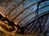 Underwave_thumb