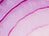 Onion_thumb