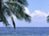 PalmParadise_thumb