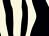 Zebra_thumb