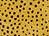 Cheetah_thumb