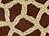 Giraffe_thumb
