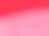 Pink Flower 2