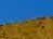 desert